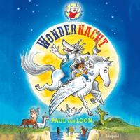 Wondernacht - Paul van Loon - ebook