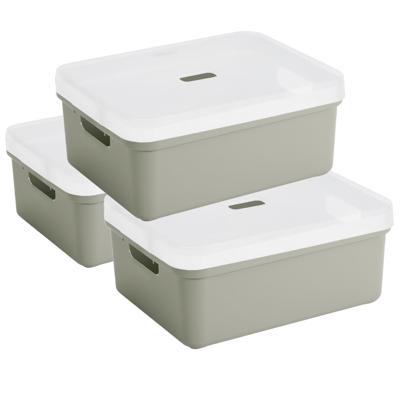 Sunware opbergbox - 3x stuks - 24 liter - lichtgroen - kunststof - transparante deksel - 45x35x18 cm