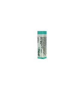 Saccharum officinalis/placebo globulen