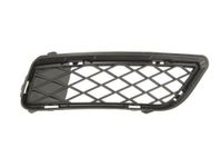 Ventilatiegrille, bumper 6502070093916P