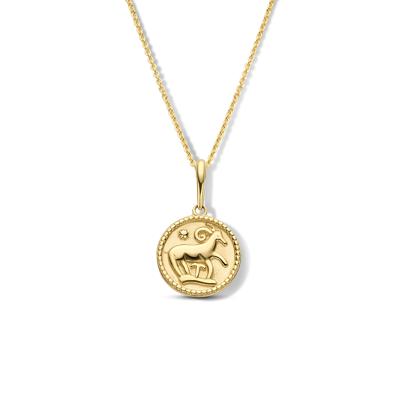Minimalistische sterrenbeeld ketting - 14K GOUD - Aries - ram - Goud