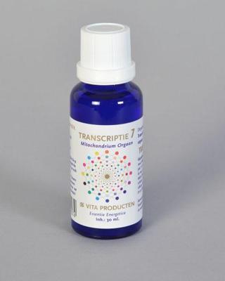 Vita Transcriptie 7 mitochondrium orgaan