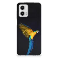 Motorola Moto G73 | TPU Hoesje | Papegaai