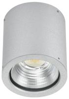 Albert Plafondverlichting buitenYori 12w - grijs - 692380