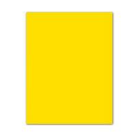 Fiches Iris Geel 50 x 65 cm