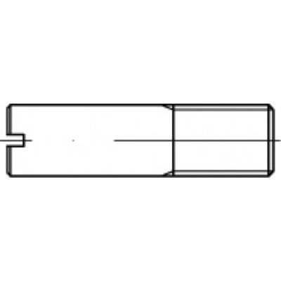 TOOLCRAFT TO-5394753 Tapeind M6 Staal Galvanisch verzinkt 100 stuk(s)