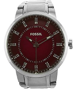 Horlogeband Fossil FS4901 Roestvrij staal (RVS) Staal 20mm