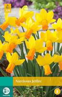 Narcissus Jetfire 4 bollen - Jub
