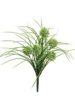 Allium Bush w / gras crÃ¨me 39cm