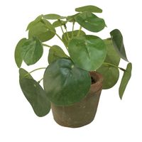 Kunstplant pilea/pannekoekplant - mini - groen - in pot - 13 cm - thumbnail