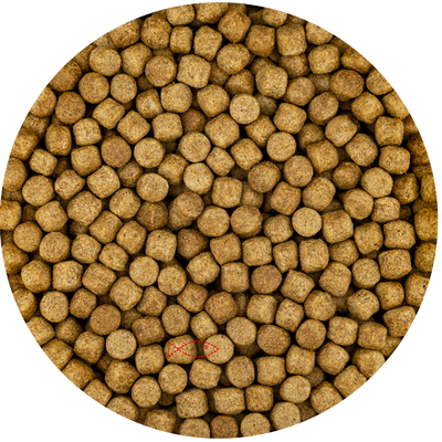 Vivani Wheat Germ 6 mm - 15 liter