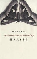 De meester van de neerdaling - Hella S. Haasse - ebook