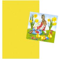 Pasen tafel dekken decoratie set - geel tafelkleed 138 x 220 cm - en 20x paas thema servetten