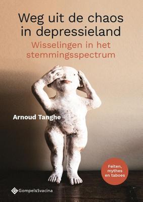 Weg uit de chaos in depressieland (Paperback)