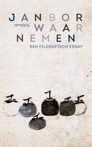 Waarnemen - Jan Bor - ebook