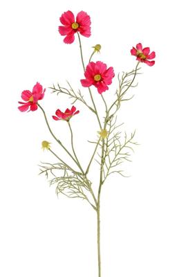 Cosmea Cosmos bipinnatus met 5 bloemen 3 knoppen & 7 bladtoeven 72 cm - Top art