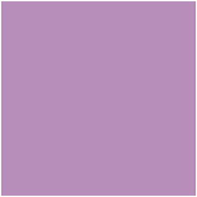 Fiches Iris Mauve 50 x 65 cm