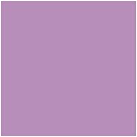 Fiches Iris Mauve 50 x 65 cm