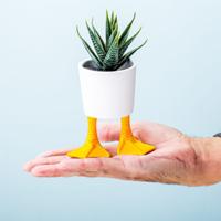 Bloempot met eendenpoten - Klein
