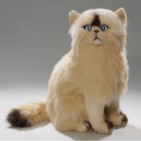 Perzische kat/poes knuffel - 35 cm - pluche - kattenknuffel - knuffeldier