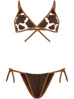 Sian Swimwear bikini Skye à motif animalier - Marron