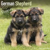 Kalender 2025 Duitse Herder Puppies