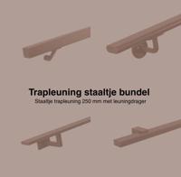 Trapleuning staaltjes bundel brons - per stuk