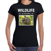 Luiaard t-shirt met dieren foto wildlife of the world zwart voor dames - thumbnail