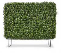 DesignPlants: Buxus Kunstheg 80x25x56cm UV Bestendig - Groen