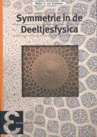 Symmetrie in de deeltjesfysica (Paperback)