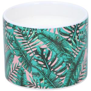 Citronella kaars in pot Ø10x8cm