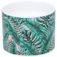 Citronella kaars in pot Ø10x8cm