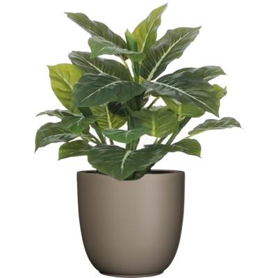 Mica Decorations Kunstplant groen - 49 cm - in bloempot - beige