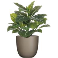 Mica Decorations Kunstplant groen - 49 cm - in bloempot - beige