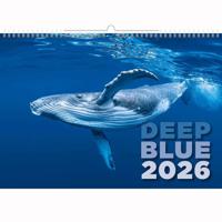 Deep Blue Wildlife Kalender 2026