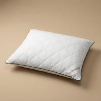 2e -50% Hoofdkussen Latex - Hotel - Voor Zij - En Rugslapers - Latex - Veerkrachtig & Ventilerend En Antibacterieel - Dekbed-Discounter.nl