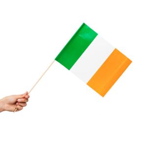 Zwaaivlaggetjes Ierland 20x30cm (10st)