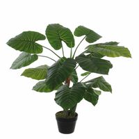 Groene Colocasia Taro kunstplant in zwarte pot 60 cm - thumbnail