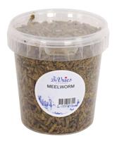 DE VRIES MEELWORM BLACK SOLDIER FLY DE VRIES MEELWORM BLACK SOLDIER FLY