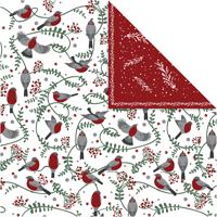 Vivi Gade Design papier, vogels en takken, vel 30,5x30,5 cm, 180 gr, 5 vel/ 1 doos