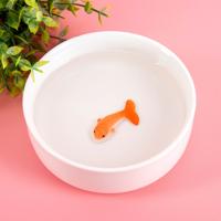 Waterbak Met 3D Vis