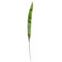 Kunstplant tak Gladioolblad bladgroen 40 cm