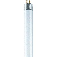 OSRAM TL-lamp Energielabel: G (A - G) G13 15 W Koudwit 840 Buis (Ø x l) 26 mm x 438 mm 1 stuk(s)