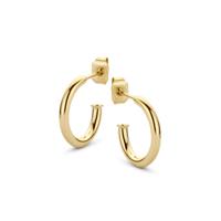 Oorbellen hoops | 15-45 mm - Stainless steel - Goud - 15 mm