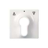 ELSO centrale plaat 363034 sleutelschakelaar JOY zuiver wit 1 stuk(s)