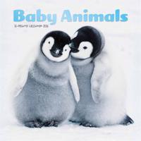 Baby Dieren Mini Kalender 2026
