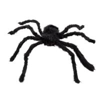 Harige spin zwart 50x65cm