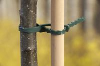 Universele bindband met rattenstaartsluting groen 17cm set a 40 stuks - Nature