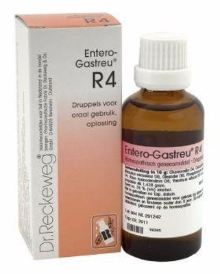 Reckeweg Entero gastreu R4 (50 ml)