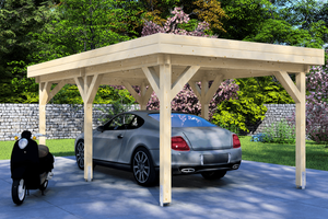 Carport 300x600 cm plat dak - Van Kooten